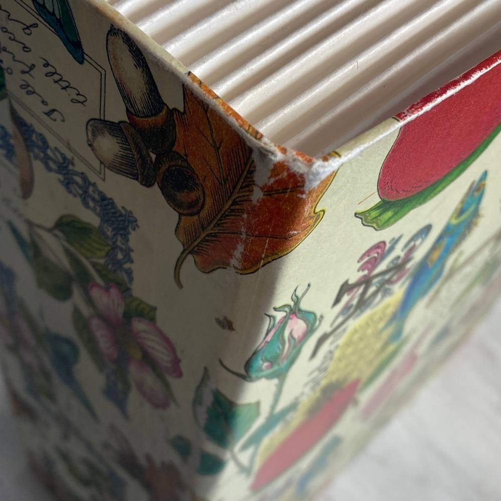 Memory Express Vintage Nature Pattern 12x12 Scrapbook Paper Accordion Storage - Picture 14 of 17